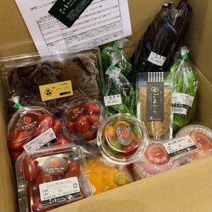 【352047000601】野菜ソムリエプロselect／萩・季節の食材セット　定期便お試し1回コース