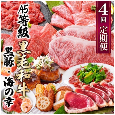 定期便(4回配送)黒毛和牛＆黒豚・かつお・さつまあげ NN-0040【配送不可地域：離島】