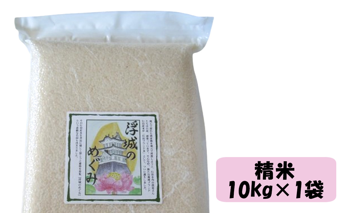 No.049 行田のお米　忍城献上米10kg［むかさ商店］