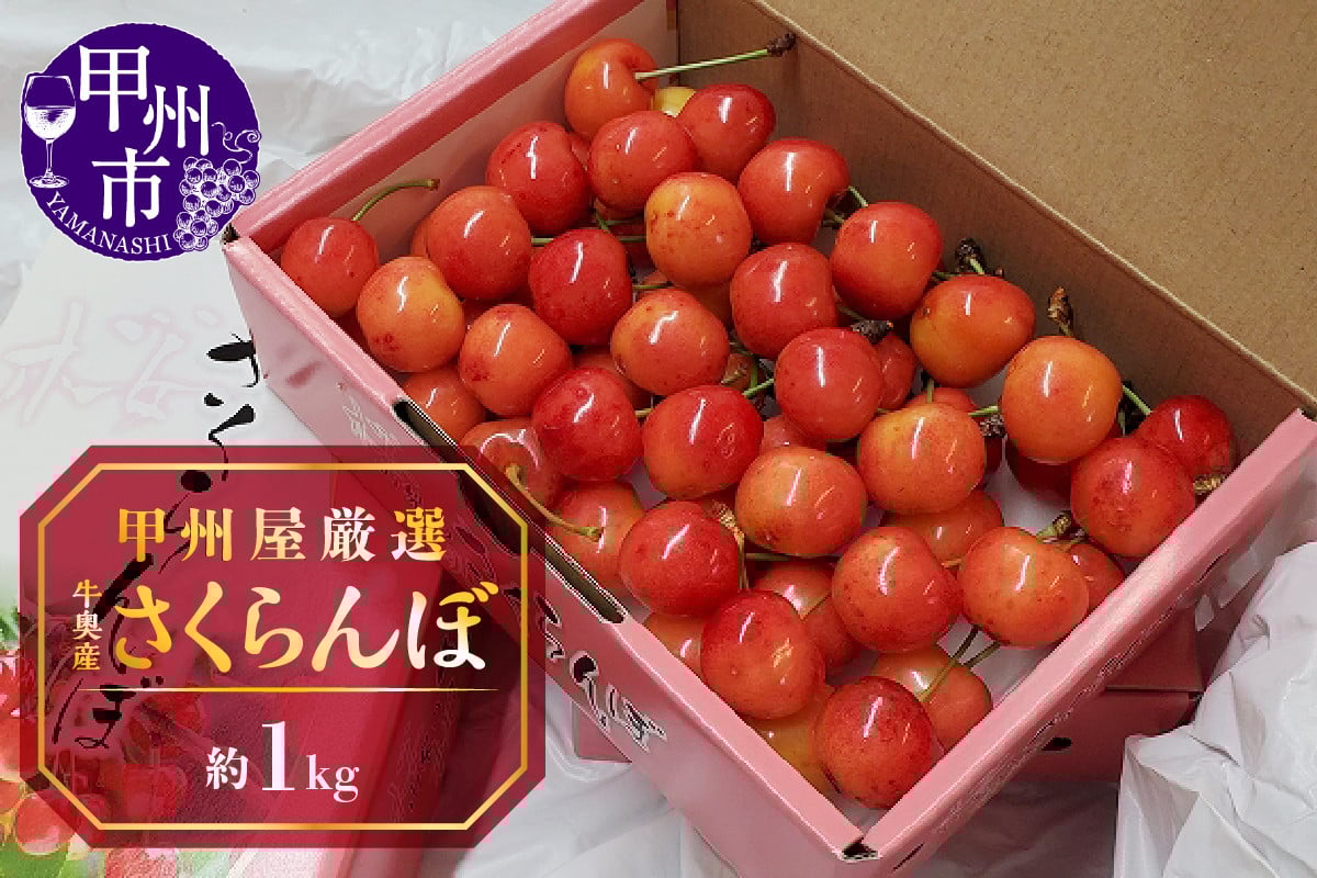 
            甲州屋厳選 牛奥産さくらんぼ 約1kg【2026年発送】D-118
          