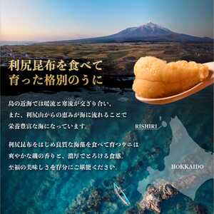 漁師厳選！利尻島産 エゾバフンウニ100g［2024年6月発送開始先行受付］ ウニ 塩水ウニ 北海道 利尻