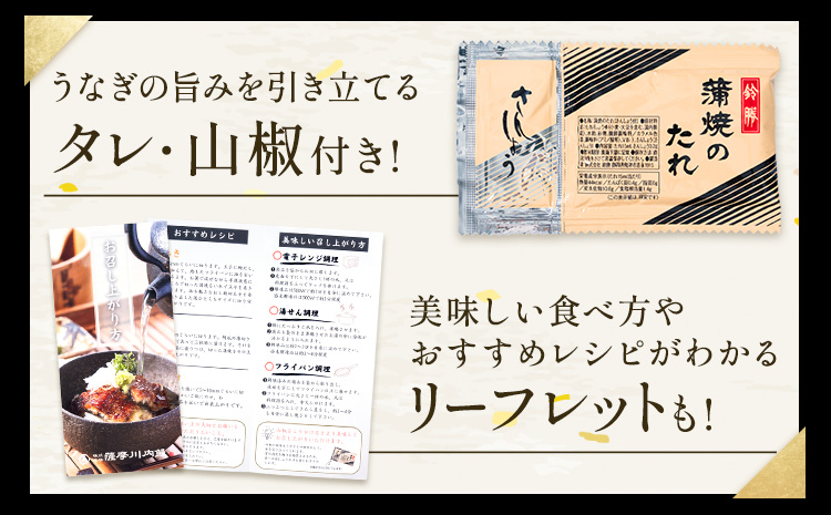 【隔月定期便全3回】＼特大サイズ／ 鹿児島県産 鰻蒲焼真空セット！ 5尾 タレ・山椒付！ 株式会社薩摩川内鰻 《お申込みの翌月から出荷》 鹿児島県 さつま町 送料無料 ウナギ 丑の日 うなぎ 刻み グ
