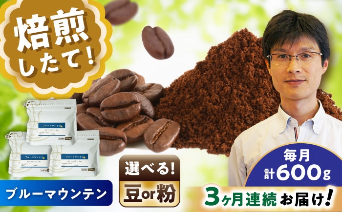 
                  【全3回定期便】【選べる豆 or 粉】ブルーマウンテンNo.1　200g×3個 / 珈琲 コーヒー / 瀬戸市 / Ｃｏｆｆｅｅ　ＳＡＫＵＲＡ [BBAB091]
                
