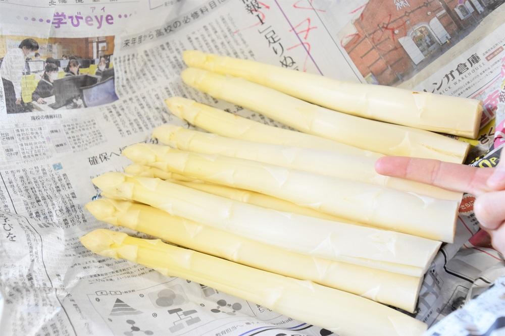 【先行予約】春一番！JAそらち南の味覚「ホワイトアスパラガス」L～4L　1kg前後