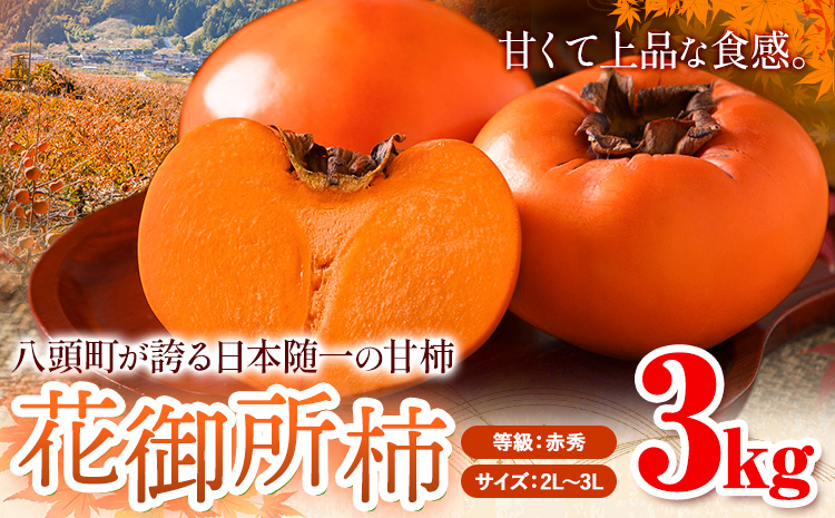柿 八頭町が誇る 日本随一の 甘柿 花御所柿 贈答用 3kg Tottori食のまごころ農園 《12月上旬-12月下旬頃出荷》鳥取県 八頭町 柿 かき カキ 花御所柿 甘柿 果物 フルーツst-p