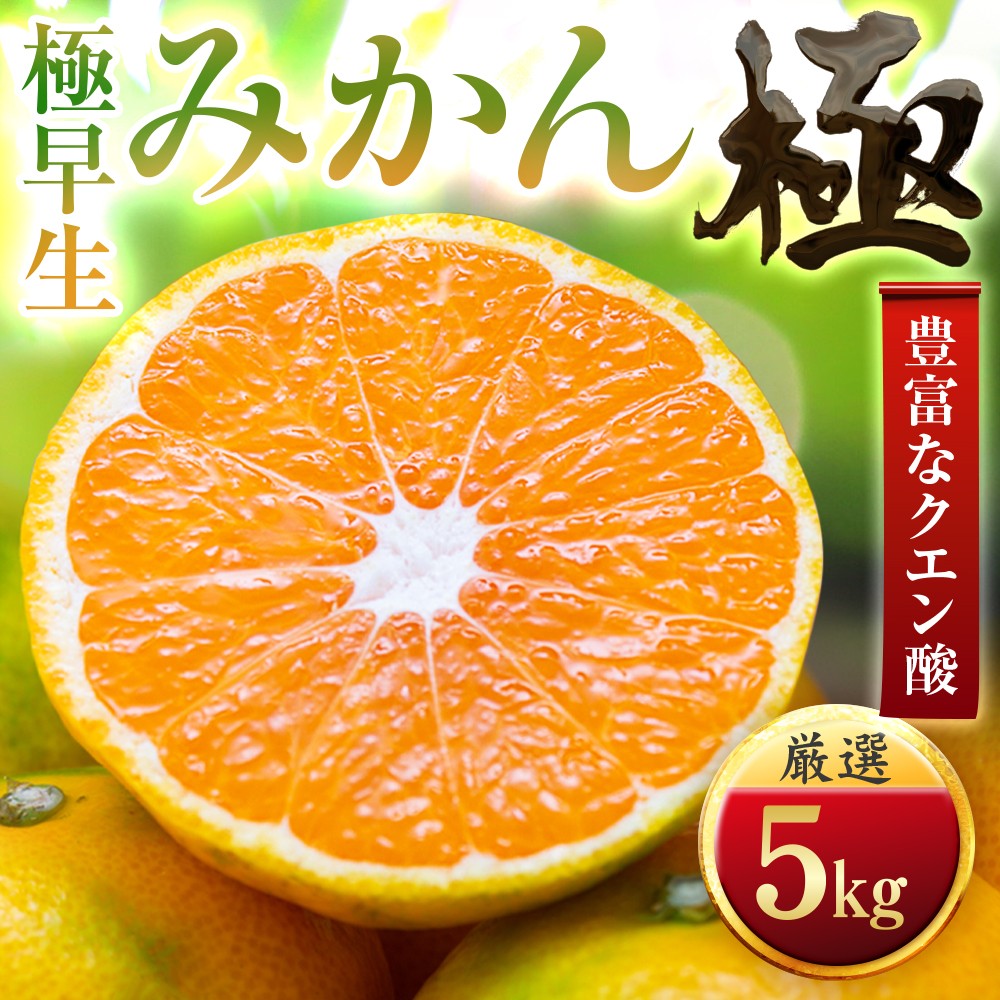 
                  ＜太陽をたっぷり浴びた＞極早生みかん＜極＞5kg(小玉)＜C49-34＞【1508897】 YWTZ026
                