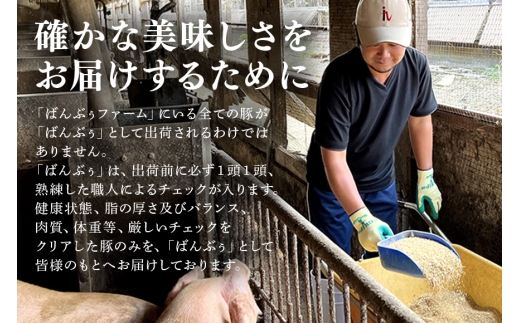 【定期便2ヶ月】ブランド豚「ばんぶぅ」ヒレブロック1本（400g以上） 定期便 ばんぶぅ 豚肉 ヒレ ヒレ肉 ヒレブロック ブロック肉 ひれ肉 豚ヒレ ひれ しゃぶしゃぶ 焼き肉 真空パック 焼肉用 
