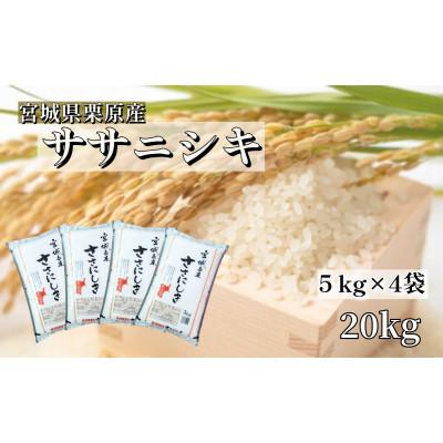 ふるさと納税 栗原市 【令和7年産】宮城栗原産 ササニシキ 白米20kg (5kg×4袋)