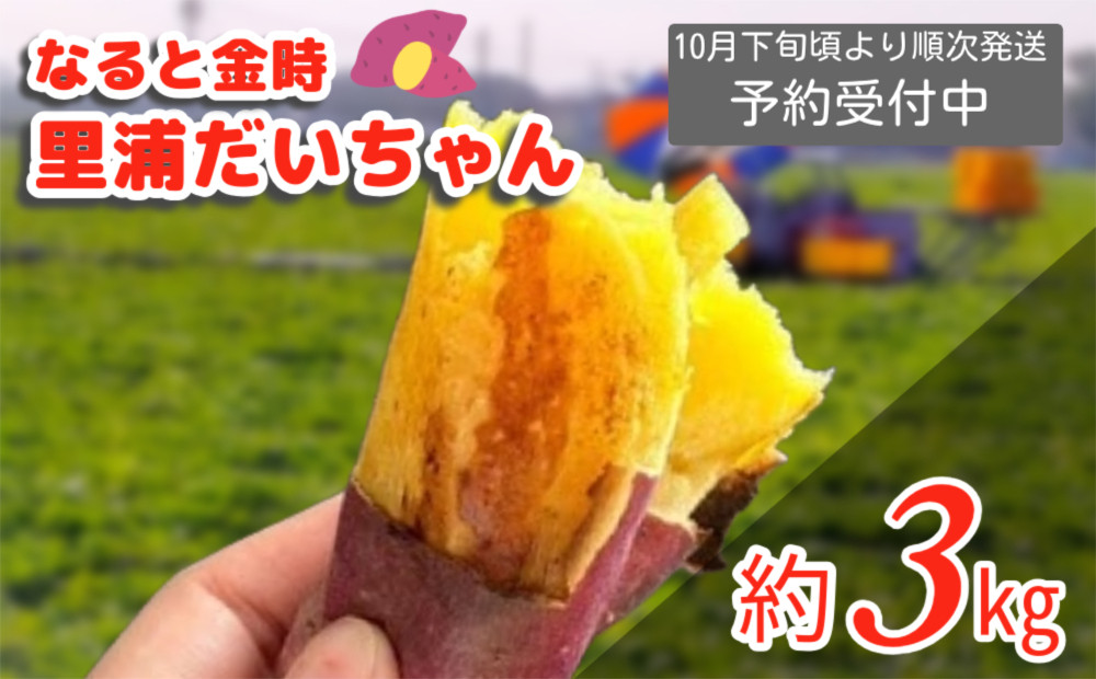 
            鳴門産 さつまいも 『 里浦だいちゃん 』 3kg | なると金時 甘い ホクホク スイーツ 焼き芋 干し芋 天ぷら サラダ けんぴ きんつば
          