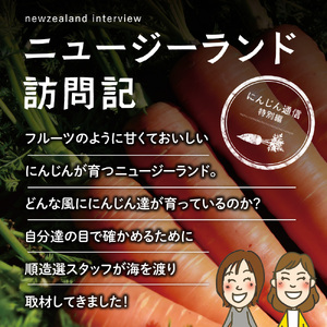 [定期便／3ヶ月] 果汁100% 元気一杯 にんじん100 195g×30本×3回 (合計90本) 順造選｜にんじんジュース [0463]