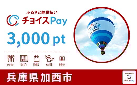 
            加西市チョイスPay 3,000pt【会員限定のお礼の品】
          