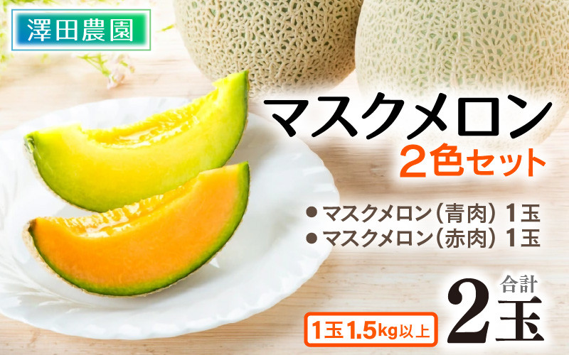 
【先行予約】マスクメロン 青肉/赤肉 2色セット（1.5kg以上 2玉入）食べ比べお楽しみ！アールスメロン / 期間限定 果物 フルーツ 産地直送 人気 食べ比べ ※2025年7月上旬より順次発送
