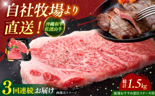 【全3回定期便】【厳選！おすすめ部位】沖縄和牛 佐渡山牛 ステーキ肉 500g ステーキ 牛肉 和牛 焼肉 赤身 沖縄市 / 肉のサブロー [BCBC005]