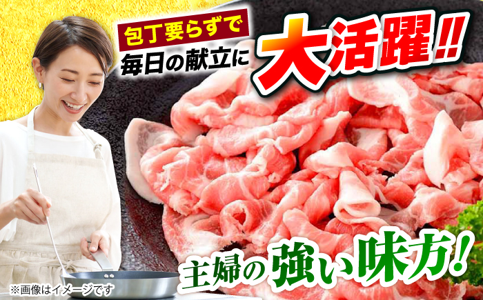 【12回定期便】長崎うずしおポーク こま切れ 約1.5kg（500g×3パック） 訳あり [CAG018]＜スーパーウエスト＞ 長崎県産 西海市産 豚肉 豚 ぶた こま切れ 小分け