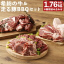 【ふるさと納税】希紡の牛＆走る豚BBQセット 合計1.76kg 6種詰め合わせ 食べ比べ 豚肉 牛肉 リブロース ヒレサイコロ 肩ロース 豚バラブロック スペアリブ 焼肉 熊本県産 九州産 国産 冷凍 送料無料