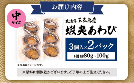 【北海道】天売島産 天然蝦夷あわび 中サイズ 3個入×2パック (1個 約80g～100g)【02170】