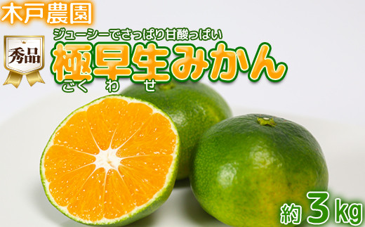 極早生みかん！木戸農園のおおいた早生 約3kg（秀品）