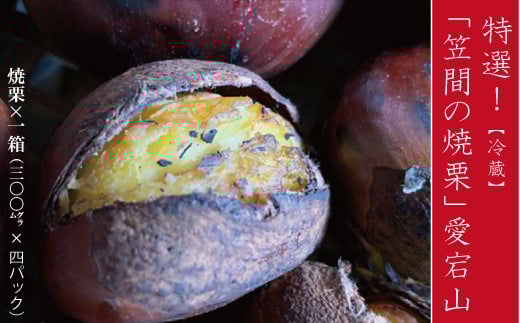 焼き栗 1.2kg(300g×4パック) 冷蔵 栗 くり 国産 特選 焼栗 愛宕山 ギフト プレゼント 贈答用 果物 デザート フルーツ スイーツ 秋 お菓子 おやつ 間食 あいきマロン株式会社 笠間市 茨城県 いばらき 【数量限定 2026/9/20まで受付】