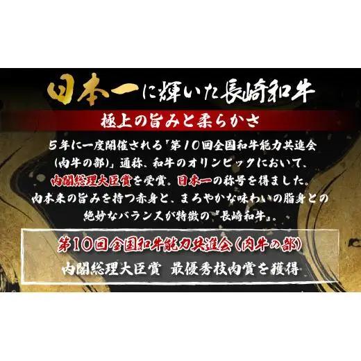 長崎和牛【サーロインステーキ】 (600g) ステーキ 和牛 B109 