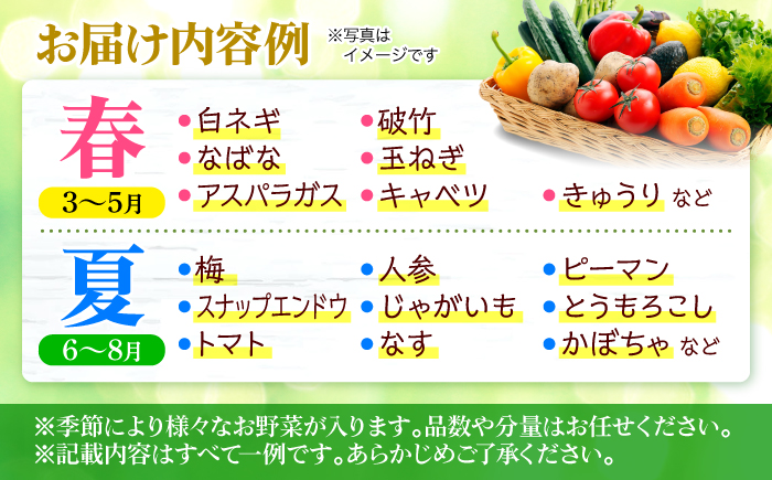 【全2回定期便】厳選！農夫のお野菜セット 旬の野菜 詰め合わせ 野菜セット 盛り合わせ 三次市/布野特産センター [APBA014]