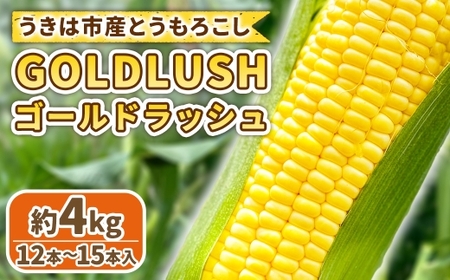 【先行予約】とうもろこし ゴールドラッシュ 12本～15本入 （ 約4kg ） フルーツコーン 甘い 野菜 トウモロコシ 冷蔵 【 2027年5月下旬～6月下旬発送予定 】
