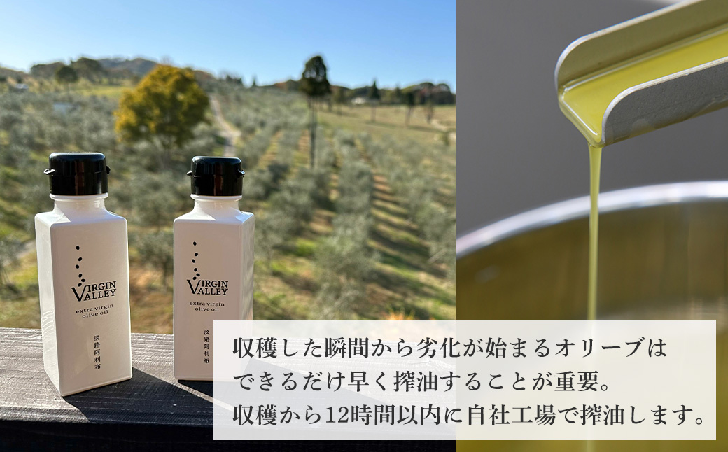 3本セット！「Virgin Valley 淡路阿利布」91ｇ（エキストラバージンオリーブオイル）【2024年度産】