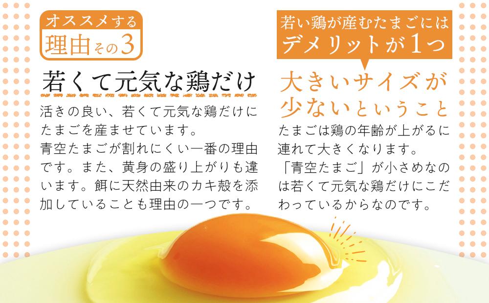 定期便 有田の青空たまご ササキのたまご Mサイズ 60個入 【3か月定期便】   AS009_イメージ3
