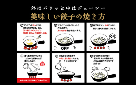 千賀商店　特製餃子　2箱（48個入）セット_【G0704】