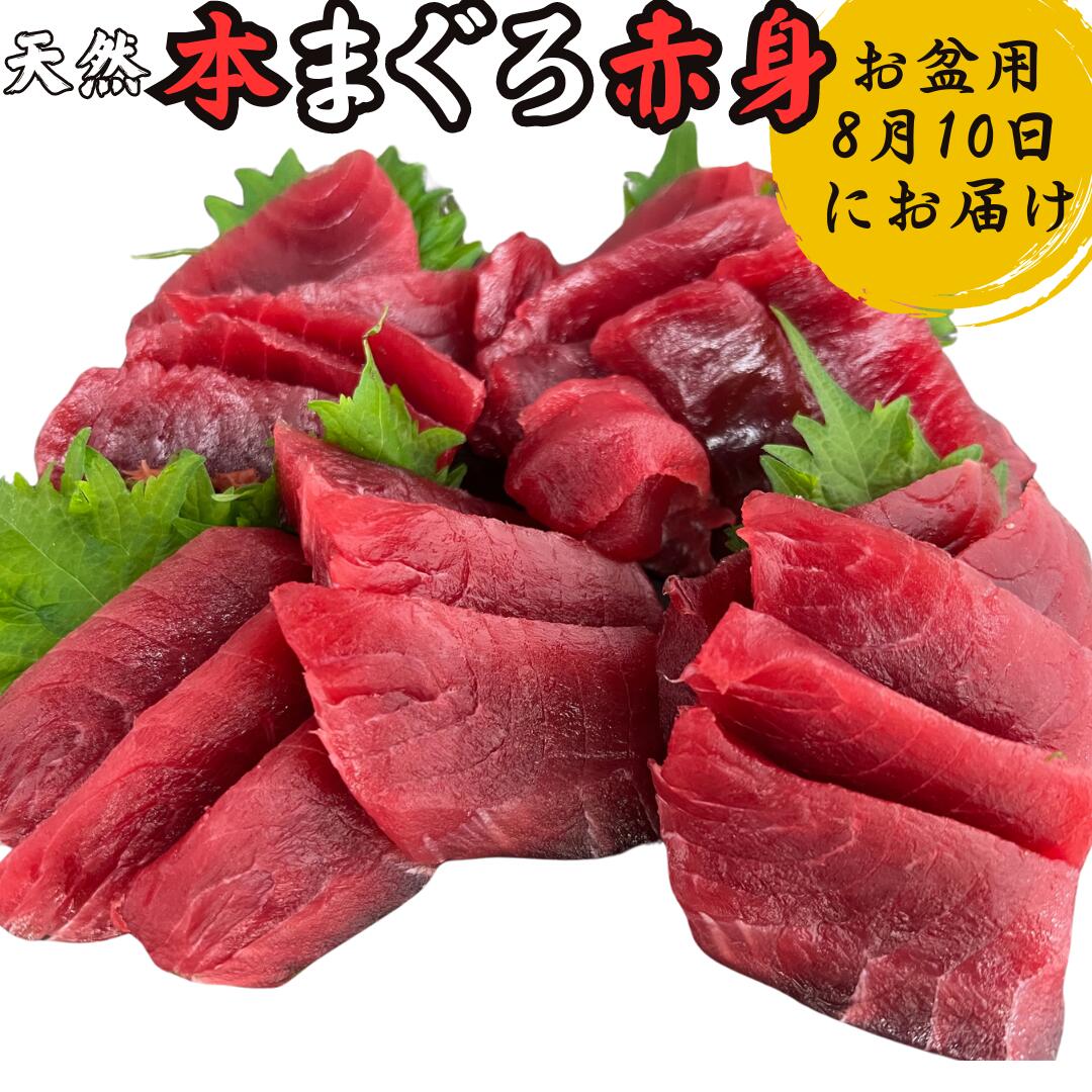 【ふるさと納税】【期間限定】【お盆用】本まぐろ 赤身 2柵（2026年8月10にお届け）2〜3人前 マグロ 鮪 本鮪 柵 刺身 三崎 三崎港 海鮮 魚 魚介 湊魚問屋 神奈川 三浦市 おすすめ ランキング プレゼント ギフト