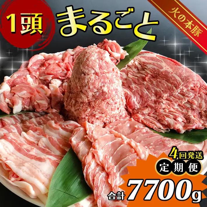【定期4回発送】 火の本 豚 一頭まるごと便 合計7700g 豚肉