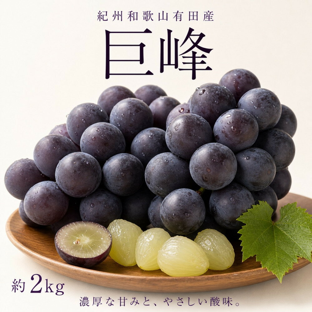 【ふるさと納税】紀州有田産の巨峰ぶどう約2kg【先行予約】【2026年8月下旬以降発送予定】 | 先行予約 和歌山 果物 くだもの フルーツ 巨峰 ぶどう ブランド 取り寄せ ご当地 期間限定