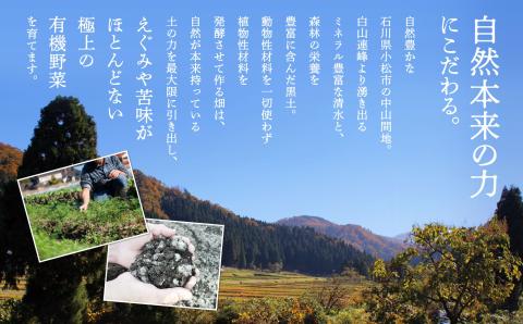 【有機JAS認定サラダ野菜】西田農園　季節の野菜詰合せ　3ヶ月定期便