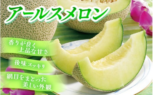 【先行予約】メロンの王様！アールスメロン 2玉入 2～3L 〈贈答用にも最適な最高級メロン〉／ 期間限定 果物 フルーツ 高級メロン マスクメロン 青肉 産地直送 ※2027年7月上旬より順次発送 [