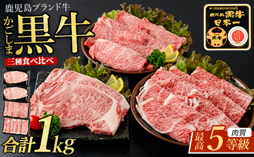 鹿児島黒牛サーロインステーキ＆すきやき食べ比べセット1kg(JAいぶすき/IB045-008)E301
