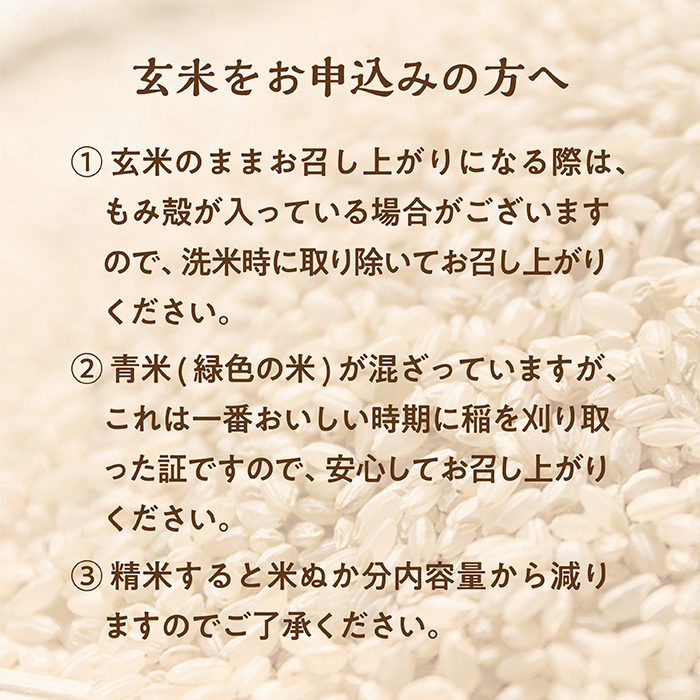 令和7年産 山形県最上町産 雪若丸 玄米30kg 1袋