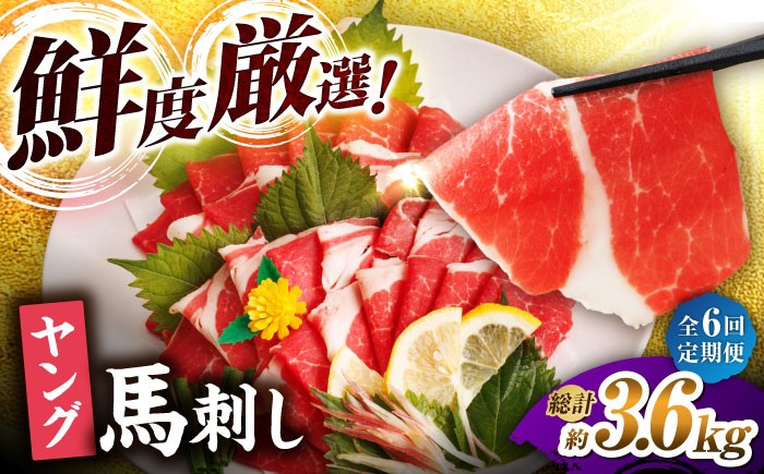 
                  【6回定期便】ヤング馬刺し 計600g（6pc） 馬刺し ヤング 馬刺し 馬肉 桜肉 馬 肉 便利 小分け 6パック コリコリ 歯ごたえがある 首周りのお肉 冷凍 生食 肉食 刺身 九州 熊本県 特産品 山鹿 送料無料 【馬刺しの郷 民守】[ZBL075]
                
