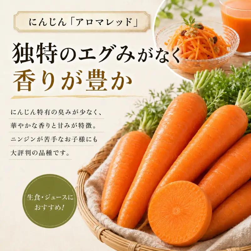 小笠原農園の有機野菜 3種詰合せ（とうや1kg・にんじん1kg・玉ねぎ1kg）北海道 十勝 幕別《2026年秋出荷先行予約》【 野菜 芋 じゃがいも とうや にんじん 人参 アロマレッド 玉ねぎ たま