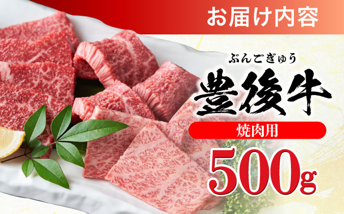 おおいた豊後牛 焼肉用 500g 焼肉 日田市 / 株式会社MEAT PLUS　牛 うし 黒毛和牛 和牛 豊後牛 [AREI021]