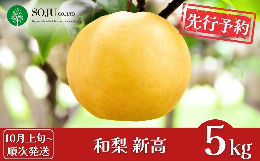 
            先行予約 和梨 新高 約5kg [10月上旬から発送予定] 令和7年度 新高梨 贈答用 新潟県 三条市産 [三条果樹専門家集団]【016P022】
          