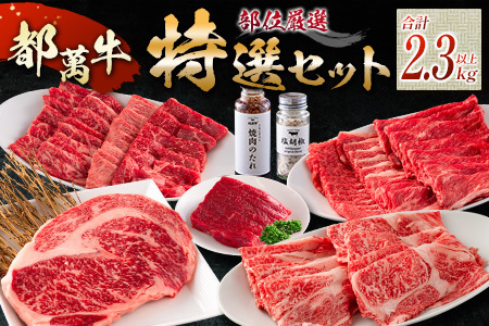 黒毛和牛＜都萬牛＞部位厳選の特選セット【F112-2603】