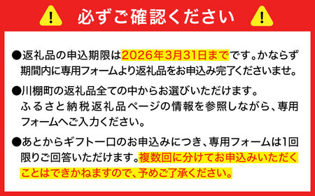【あとから選べる】川棚町ふるさとギフト 10万円分　長崎県 川棚町[OZZ018]