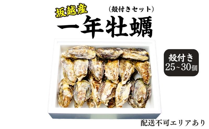  牡蠣 坂越かき 生食用 殻付き (25個～30個) 牡蠣ナイフ付き 冬牡蠣 かき カキ