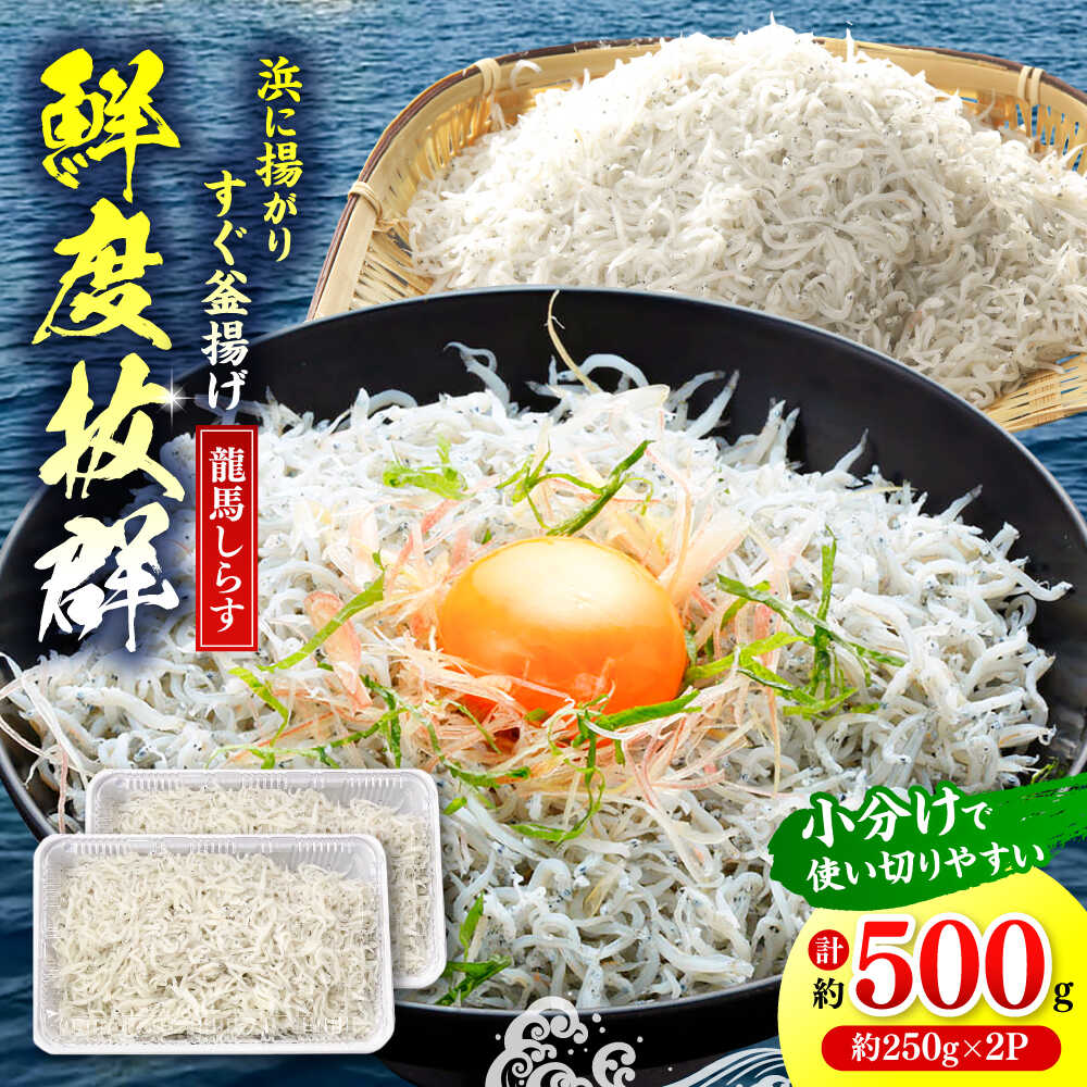 【ふるさと納税】【最速発送】釜揚げ龍馬しらす 約250g×2パック【株式会社　七和】[ATAX011]　スピード 最短 最速 発送