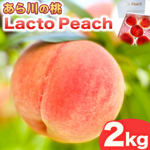 【ふるさと納税】【先行予約】乳酸菌で育てた あら川の桃 Lacto Peach ラクトピーチ 2kg《7月上旬-8月上旬頃出荷》 5~7玉入箱 和歌山県産 辻本農園 SEC & Co. 紀の川市 果物 フルーツ 桃 もも モモ 旬