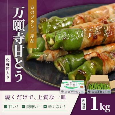 ふるさと納税 舞鶴市 京のブランド産品「万願寺甘とう」1kg 化粧箱入り
