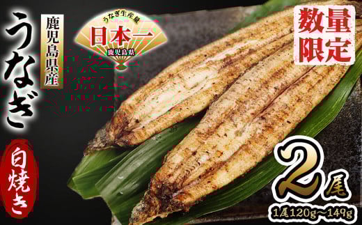 
            鹿児島県産 伊崎田のうなぎ白焼き ＜120g以上＞× 2尾(計240g以上)  うなぎ 鰻 ウナギ 国産 鹿児島県産 九州産 白焼き 冷凍 うな重 ひつまぶし a4-083
          