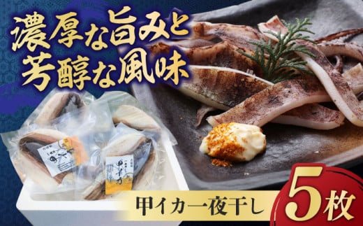 甲イカ 一夜干し 5枚 吉富町/吉富漁業協同組合 [BGAW001] 一夜干し イカ 大きい 肉厚 烏賊 干物 魚介 イカ一夜干し 甲いか一夜干し イカ干物 甲いか いか おかず おつまみ 福岡県