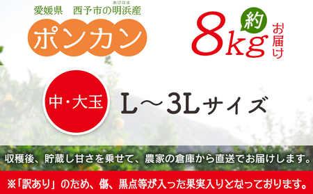 ＜訳あり ポンカン 約8kg＞ 大きい 大玉 中玉 食べやすい ぽんかん 家庭用 果物 フルーツ おいしい 甘い 柑橘類 明浜産 あけはま ご自宅用 浜のみかん屋 愛媛県 西予市【常温】『2026年1