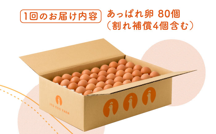 【12回定期便】いとう君ちのあっぱれ卵 80個（76個+割れ補償4個）/いとう養鶏場 [UAQ005]