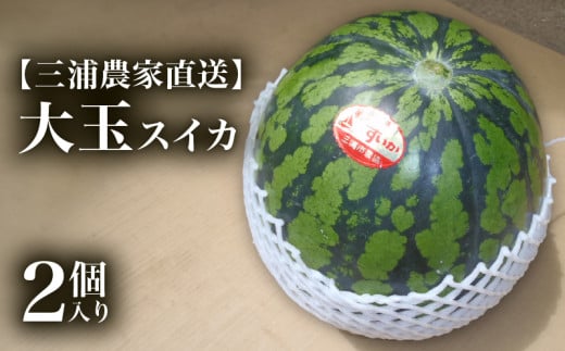 【三浦農家直送】大玉スイカ（2個入り）　M003-003